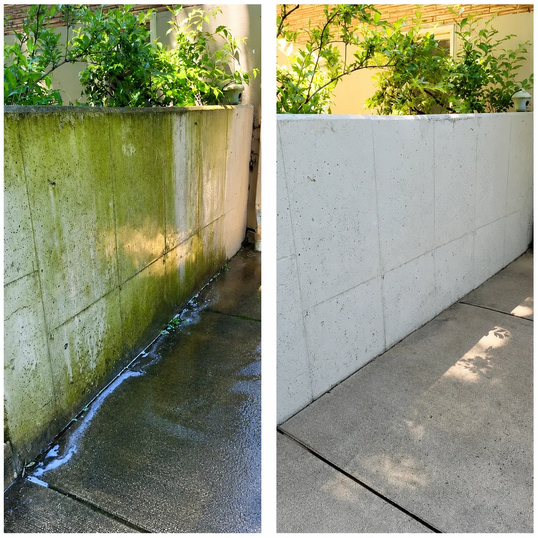 Concrete retaining wall and walkway in Marshall, MI before and after washing — heavy green algae lifted away