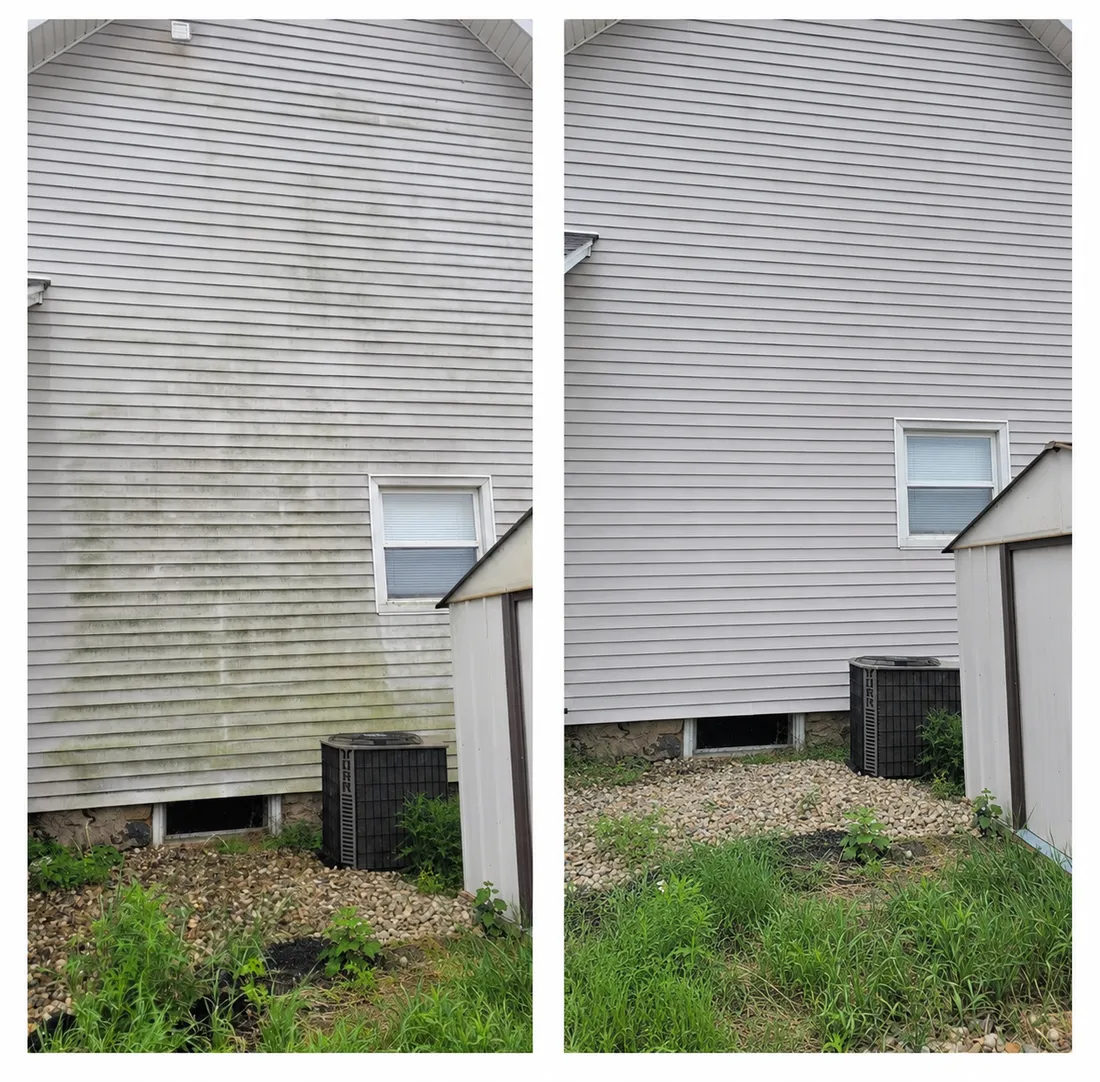 House siding in Marshall, MI before and after a White Collar soft wash — green algae streaks removed from the vinyl